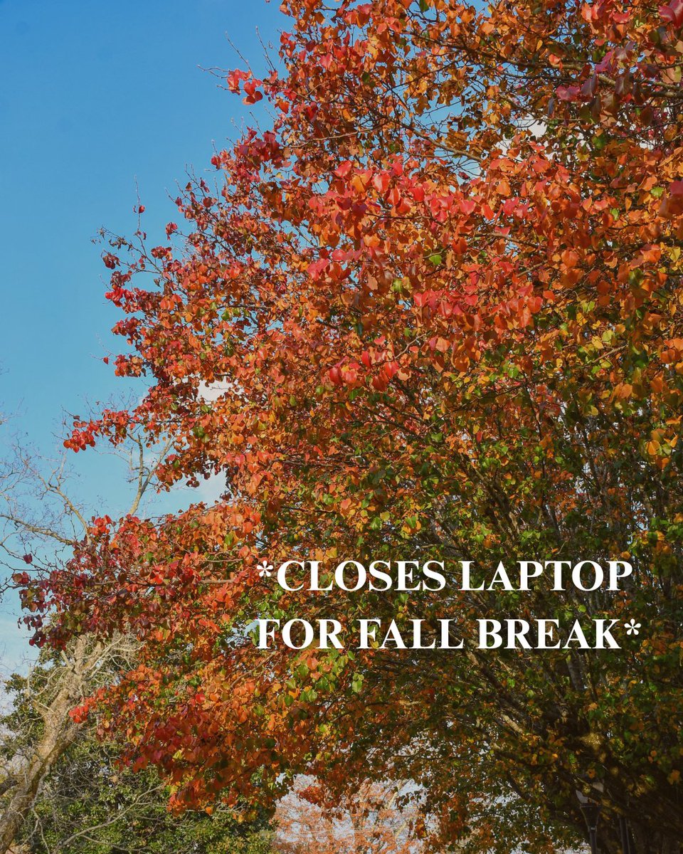 GordonState's tweet photo. Highlanders, we hope you have a great Fall Break today (10/12) and tomorrow (10/13)! 🍂

Close those laptops and enjoy a well-deserved break!

We’ll see you Wednesday, October 14. 💙

#GSCHighlandersForward https://t.co/Ik3k1uyPmY