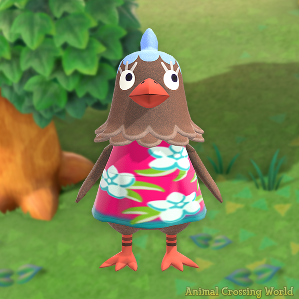 ACWorldBlog's tweet photo. Happy Birthday to Plucky! 🎉🐔 https://t.co/efr8UbhwBg