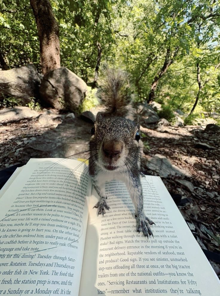 greenvibe's tweet photo. so cute https://t.co/H3z6vbSnus