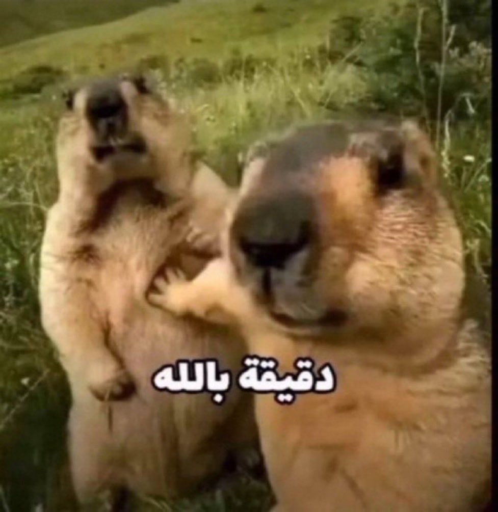 FSN2D's tweet photo. @Hanan3Abdulatif نطرتج ! مملكتنه !!! https://t.co/vZj0qWcOx9