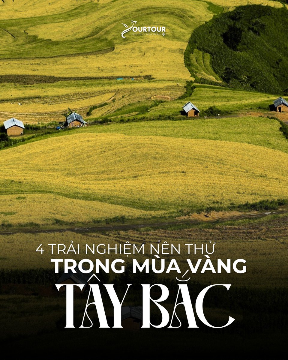julithaalv's tweet photo. Mùa vàng Tây Bắc gọi tên bạn: ngắm ruộng bậc thang, khám phá bản làng, săn mây sáng sớm hay dừng chân trên những cung đèo. Bạn muốn thử trải nghiệm nào nhất? https://t.co/IZk2DATuoV