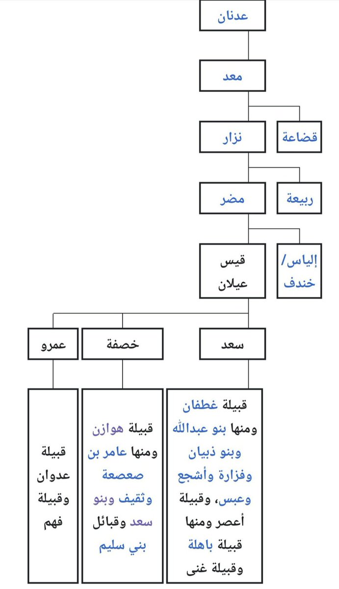 omarhelali9's tweet photo. @Sufyan7770 @hlaliy06 @BnGhanm755549 @AlgeriaGenes الصدمة الجينية صعبة 🤣 https://t.co/1HJmvaHYCB