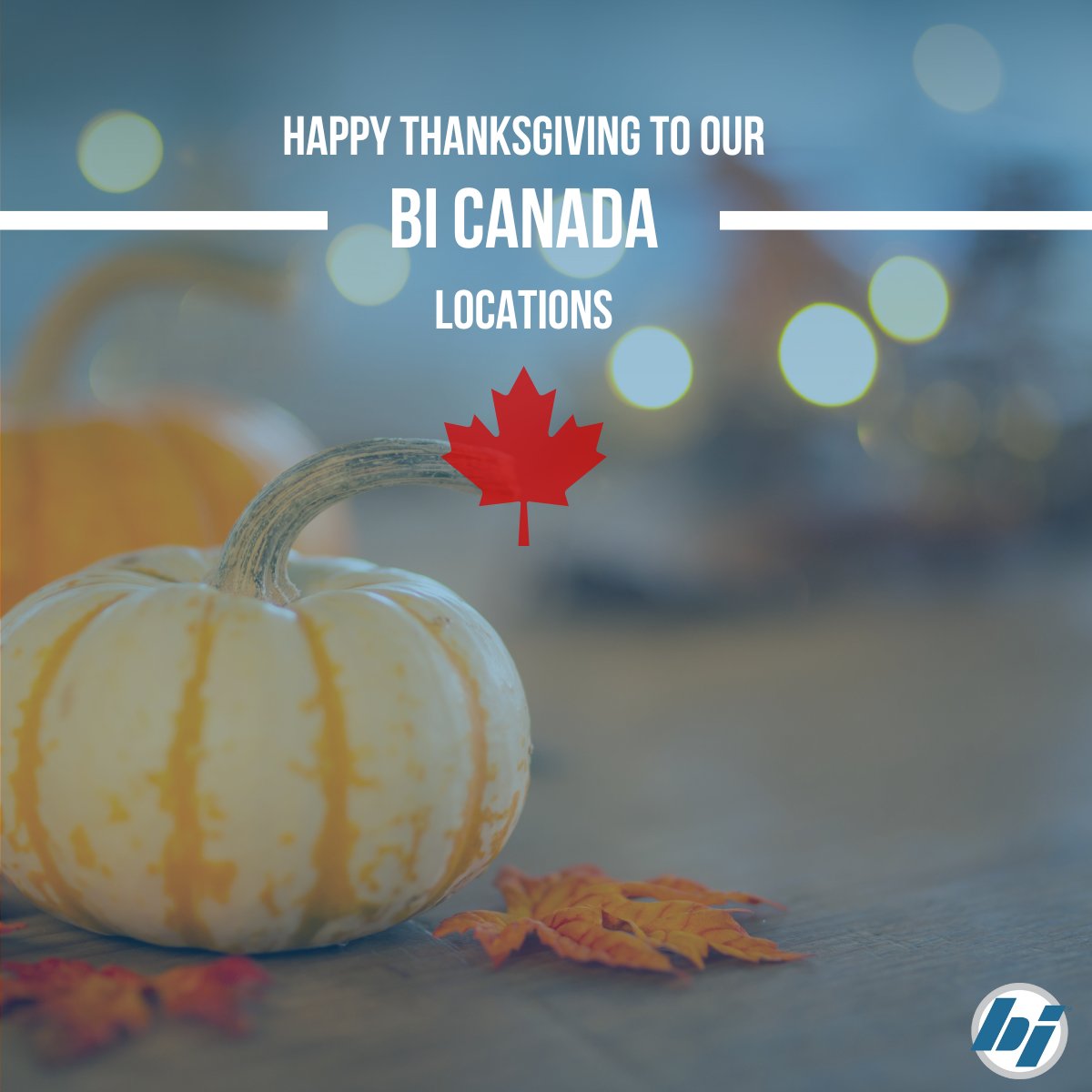 BrennanInd's tweet photo. Happy Thanksgiving to our Brennan Canada team and customers!

We're grateful for the relationships we've built and the people who continue to make our success possible. Wishing everyone a wonderful Thanksgiving! 🍁🇨🇦 https://t.co/5c9O8GPS2D