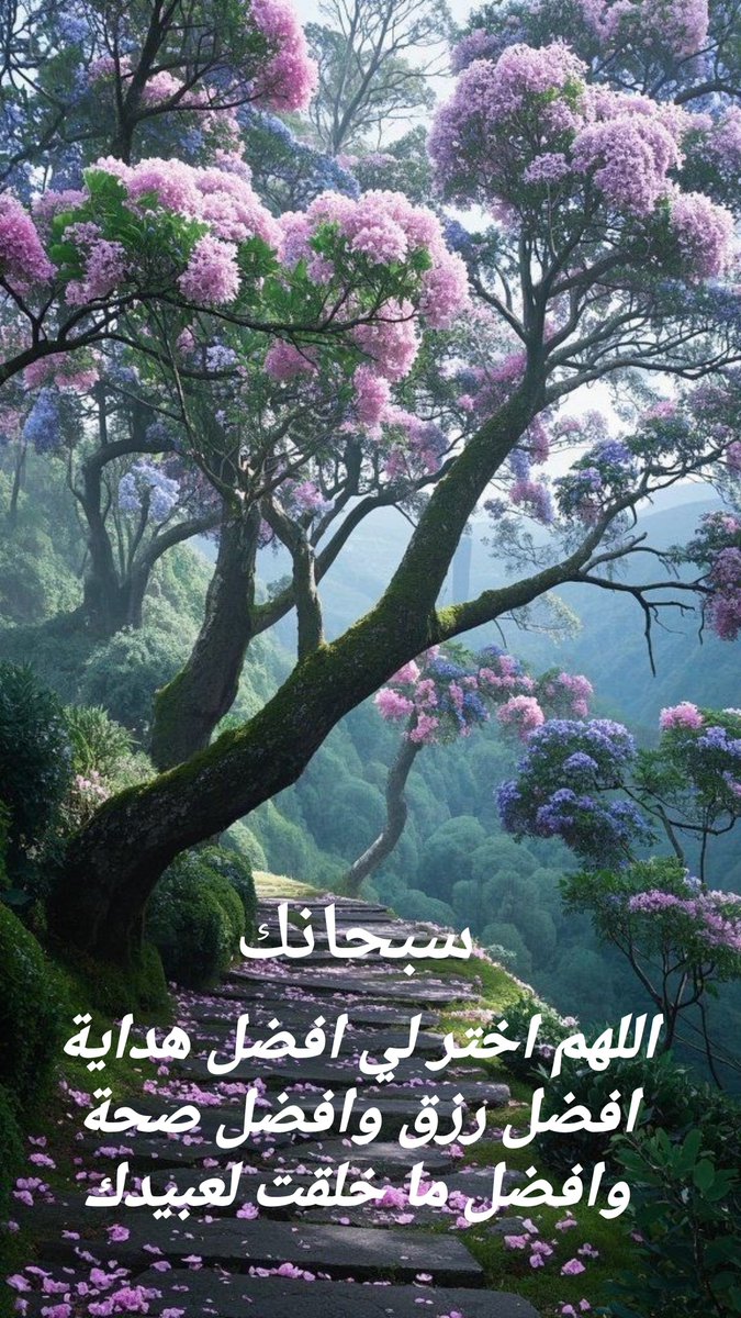 alboshi123's tweet photo. فيها جمال ... وزينة 
وصف الله تعالى النعم والرزق للإنسان صحة في النفس والبدن وسرور وحبور 
تعاين اموالك تسر نفسك يوجب الحمد 
تساير ما انعم عل��ك الله تذكر حقه في الفقراء والمساكين 
فيها جمال حين يكون بين يديك وتخاف عليه أن غاب عنك 
وزينة لك بين الخلق وإشارة سرور ومحبة 
الحمد لله https://t.co/gDmdzPOllE