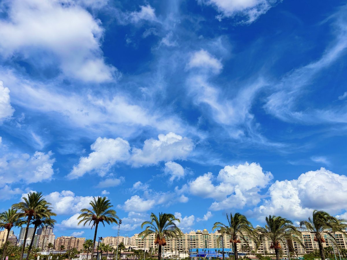 Habubaa278's tweet photo. فهماها عامةً https://t.co/zMogd56PY3