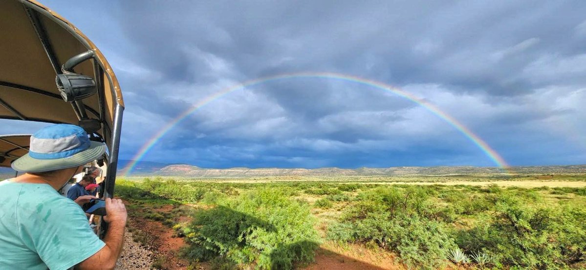 VerdeCanyonRail's tweet photo. Sunday scenes from the wild heart of the Verde Canyon! 

A little weather adds a whole lot of WOW! Dramatic skies, vibrant Canyon colors and even DOUBLE rainbows made for some unforgettable views aboard Verde Canyon Railroad.

The untamed wilderness we ride through sure knows how to put on a show, and there’s no better front-row seat than aboard our vintage train!

A big thank you to outdoor car attendant Craig for capturing these incredible moments along the rails! 📸👏

🚂 Verde Canyon Railroad
☀️ @taawakiinn Resort
📍 Clarkdale, Arizona 

Verde Canyon Railroad, Verde Canyon Railroad tickets, Sedona train, train rides in Arizona, Sedona train ride, Train ride near Sedona, Arizona train rides, Clarkdale train