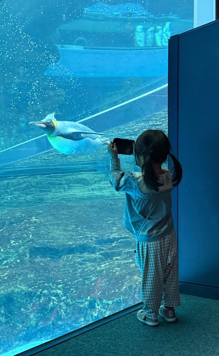 y_p_p7's tweet photo. いろいろ大変だったけど(今も)
子供たちの笑顔を守るために頑張ろうと思いました https://t.co/22t03bedzC