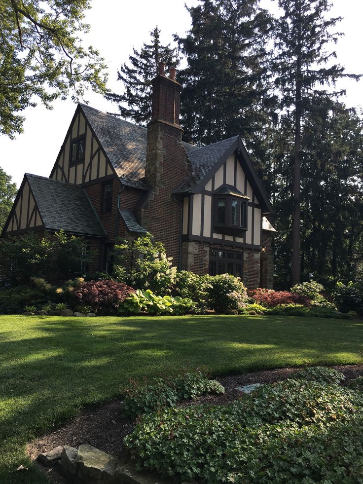 greenvibe's tweet photo. Dream front yard 🦌🌼🌲 https://t.co/8JVx4aFUIz