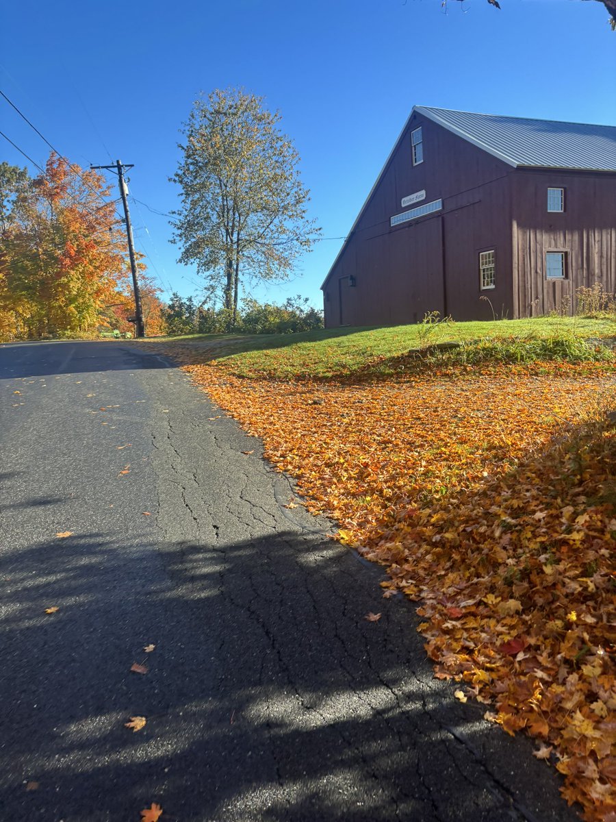onetruescotman's tweet photo. Worst fall morning in Massachusetts https://t.co/IJ1KwtvNBo