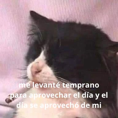 conoloracigarro tweet picture