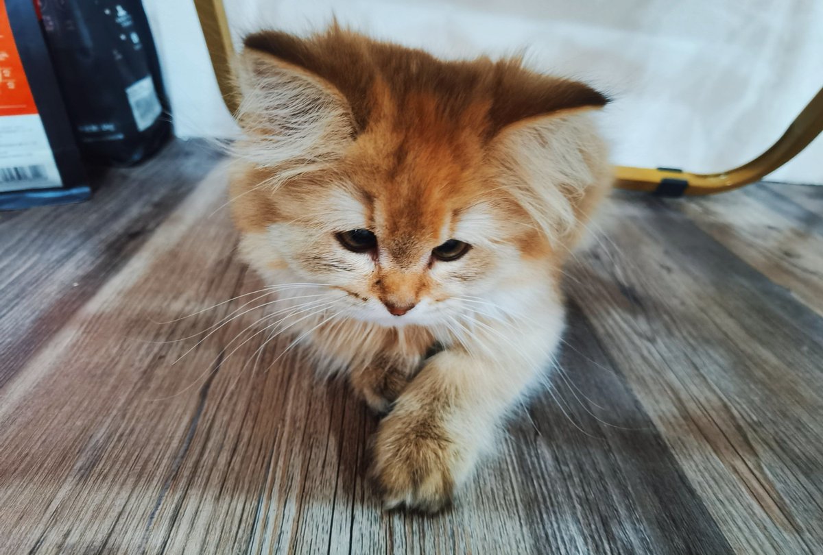 yonguk3778's tweet photo. 「今日、心を癒すカフェで素敵な牟を見つけた！新しい趣味が芽生えそうです。」， https://t.co/HKgdF7BOp8