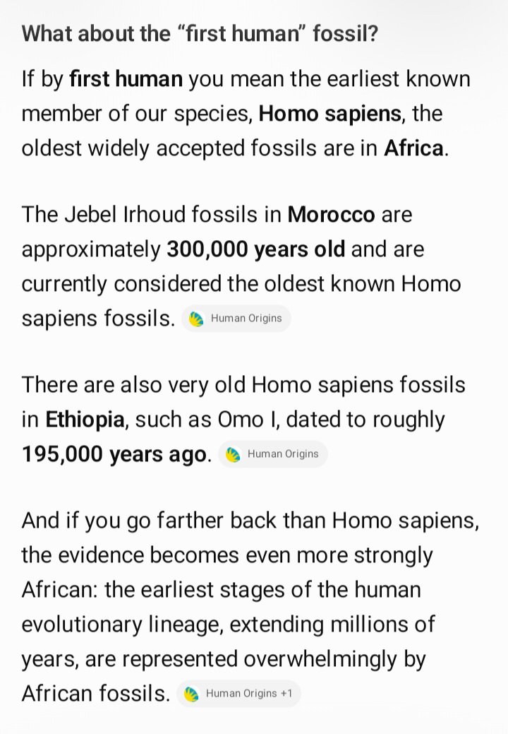 Thomj1293's tweet photo. @serious_why_ @JayWall14526141 @BlackVanguard7 @RobGarcia463110 White people and the other racial/ethnic groups exist because of Africans/Black people. The first human was found in Morocco in Africa. I am a Moroccan-American male. My people were the first humans on this planet and started the world from Africa. https://t.co/EsJ9QnD9vH