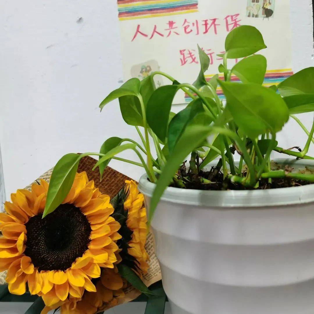 AdaDraketev's tweet photo. [位を換えても、やっぱり碧が一番！]， https://t.co/Pd5iIpKFIk