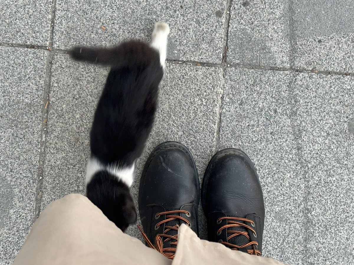 njz2323's tweet photo. normalde kucaklamıyorum fazla istekliydi https://t.co/zCNYwIdQyb