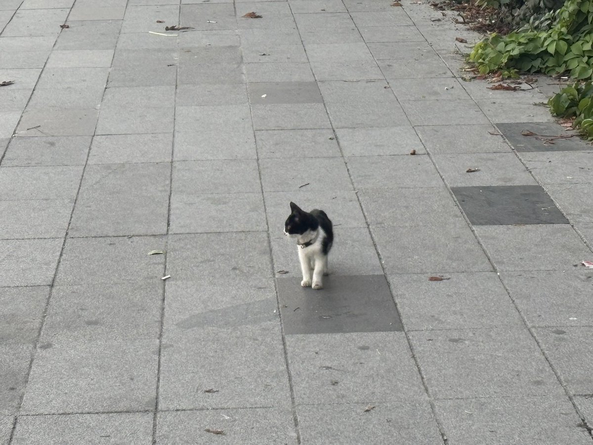 njz2323's tweet photo. normalde kucaklamıyorum fazla istekliydi https://t.co/zCNYwIdQyb