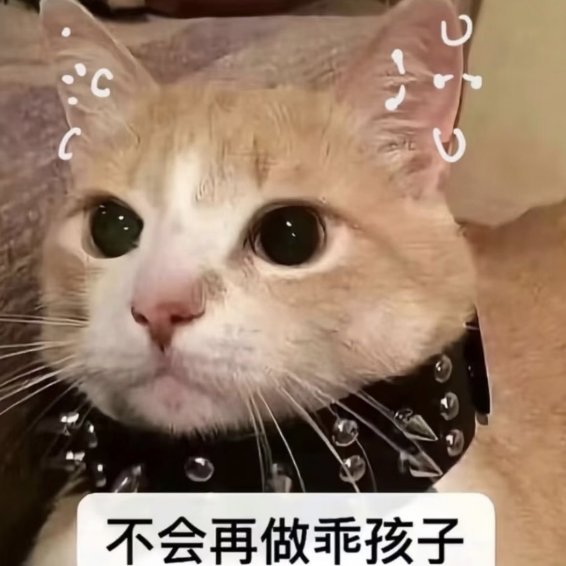 yyujicha's tweet photo. @XiaoMiDaWang77 我只知道....它每次都会硌到我的耳钉 https://t.co/TdoFMnBvLA