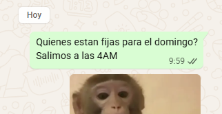 _angieu's tweet photo. Yo en mi momento más tranqui https://t.co/KDgHuo0cj3