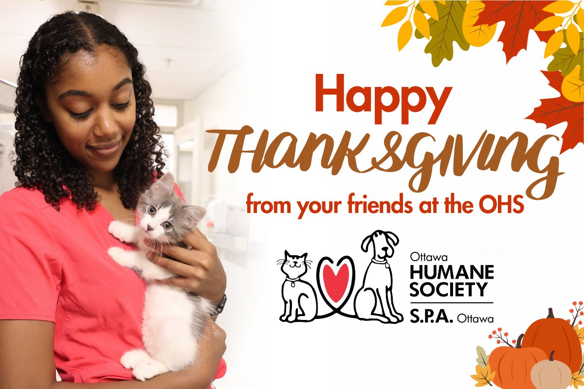ottawahumane's tweet photo. This Thanksgiving, we’re grateful for our caring staff, volunteers and supporters who give animals in need a second chance.

Wishing you a joyful Thanksgiving from all of us at the OHS! https://t.co/I4ZTdrdW85