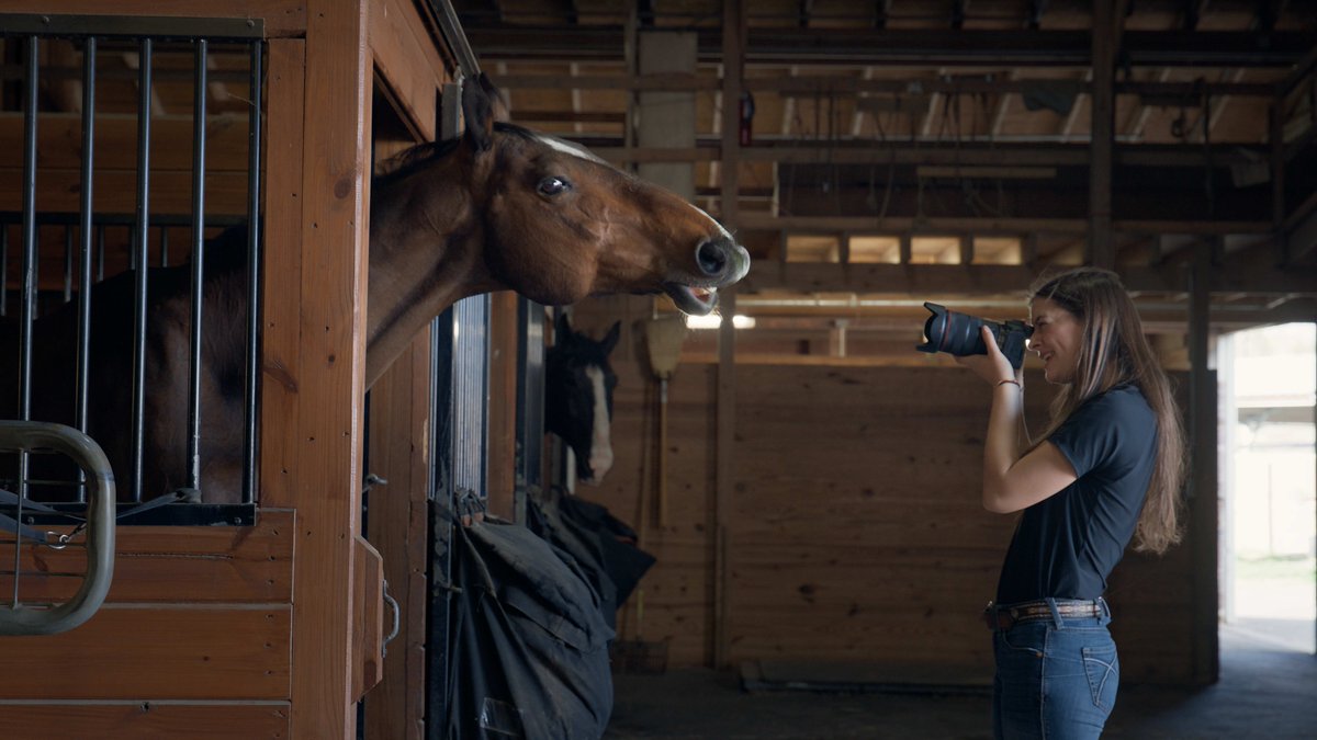 DelVal's tweet photo. Turn your love for horses into a career! Attend open house on October 24, 2026. Learn more and register at https://t.co/ZKb3muigHX https://t.co/3PMEuZ1jYi