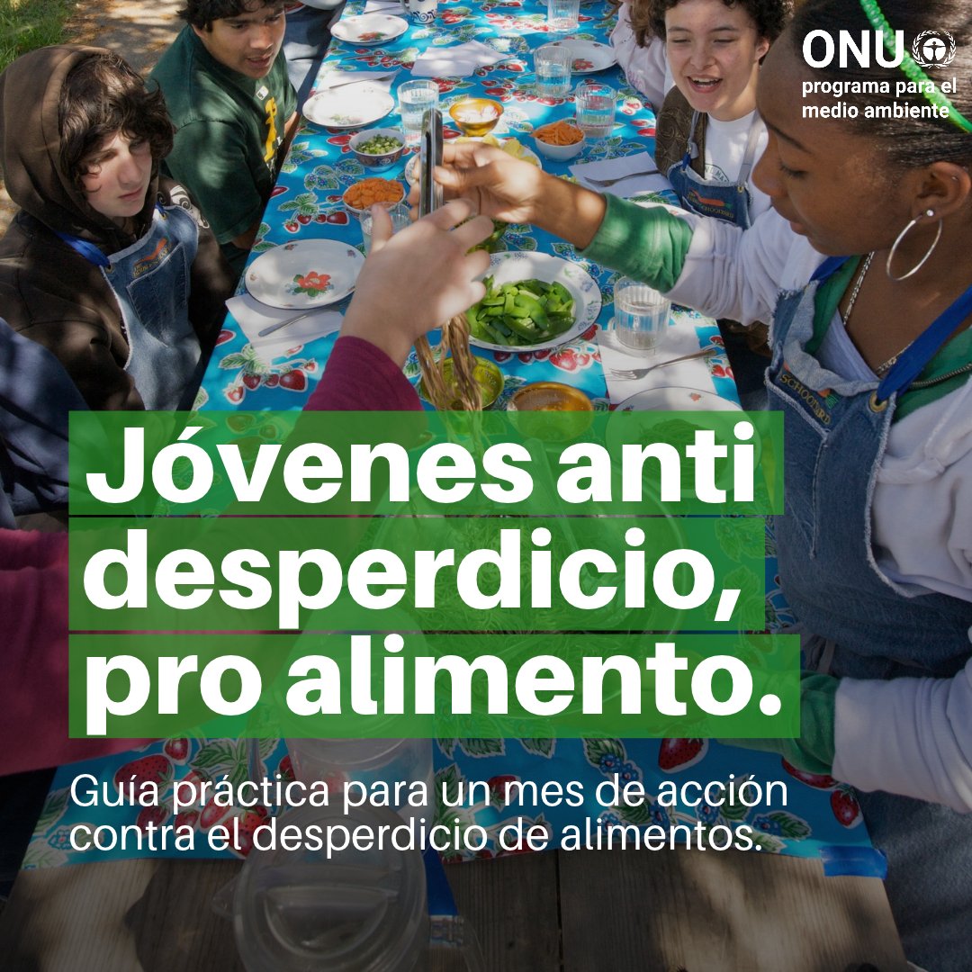 unep_espanol's tweet photo. La juventud pueden cambiar cómo valoramos, usamos y ahorramos la comida.

Esta nueva guía propone ideas creativas y medidas prácticas para que hogares, escuelas y comunidades redescubran sus alimentos.

¡No más #PérdidaYDesperdicioDeAlimentos!

En inglés: https://t.co/JvJwNHiYR2 https://t.co/YHxuVbcjOC