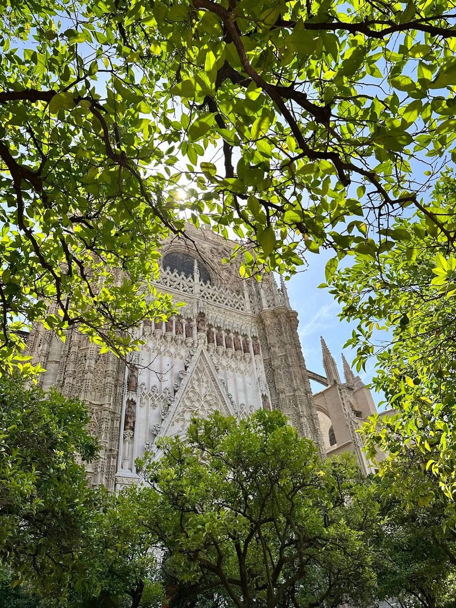 JessicaforRI's tweet photo. Happy Columbus Day! 🇺🇸 🇮🇹

A few years ago, while in Seville Spain, I visited its historic cathedral.  There, I was fortunate enough to see the tomb of Christopher Columbus - an experience that reminded me of the remarkable journeys that shaped our world. https://t.co/c26H2WUnBl
