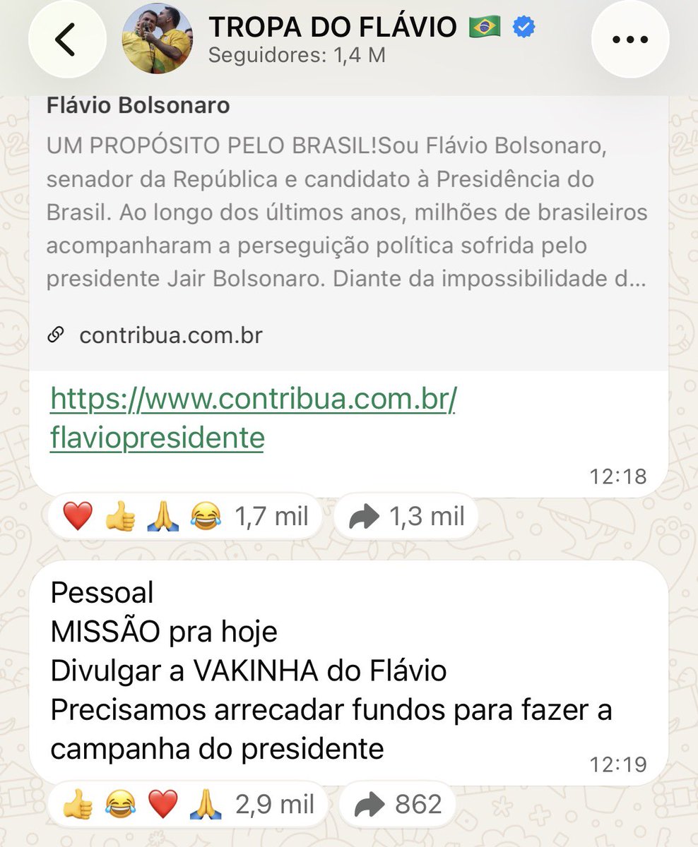 KriskaCarvalho's tweet photo. Os cara com milhões do Vorcaro e pedindo vakinha pra campanha no canal do TARIFLÁVIO.

E tem gente que vai doar 🫠 https://t.co/g7lZAZhIU1