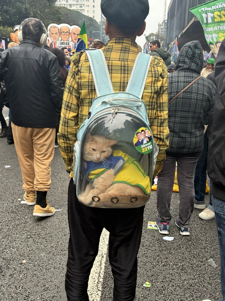 nandopaesj's tweet photo. @ahvsfporra Infelizmente serve pros dois lados… a galera tem q se ligar que animal não tem que ser enfiado no meio de manifestação e nem nada do tipo, isso vai muito além de política e sim sobre maus tratos, não importa se vc é direita esquerda ou qual caralho de política quiser https://t.co/Gz1GBvhnmf