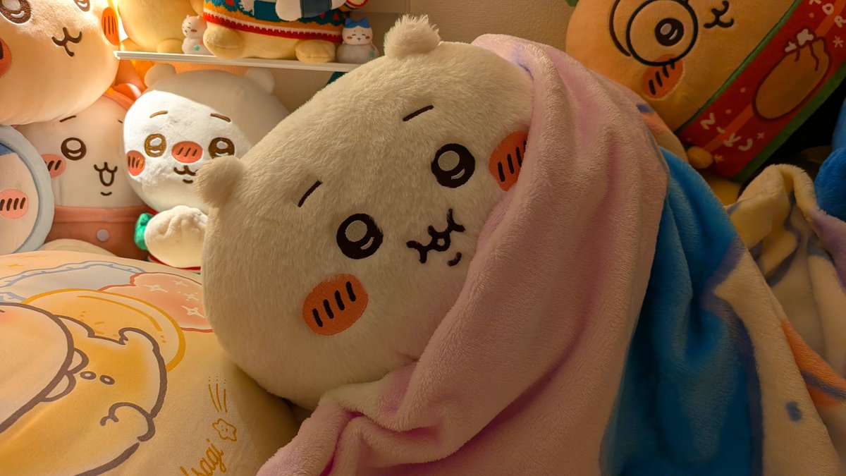 rSjdhU2zVn7544's tweet photo. わかってる。
会ってきたんでしょう？あっちのぼっちゃりに。 https://t.co/FLknbBEC5Z