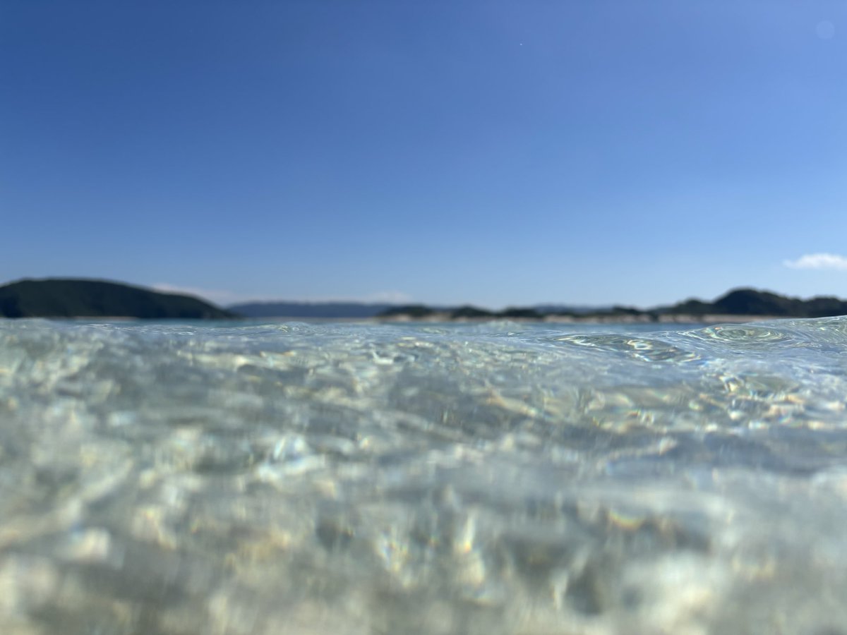 yannbi70's tweet photo. ３泊4日最高の沖縄旅行でした！！
写真集の撮影場所も何箇所か行けたし、美味しいのも食べまくったし、離島で1泊したし、無人島にも行った。
超楽しい沖縄旅行でした！！

#鈴木愛奈
#いきわらぬい活
#だーやんと愛奈ぬいのおでかけ記 https://t.co/fbx3uShso3