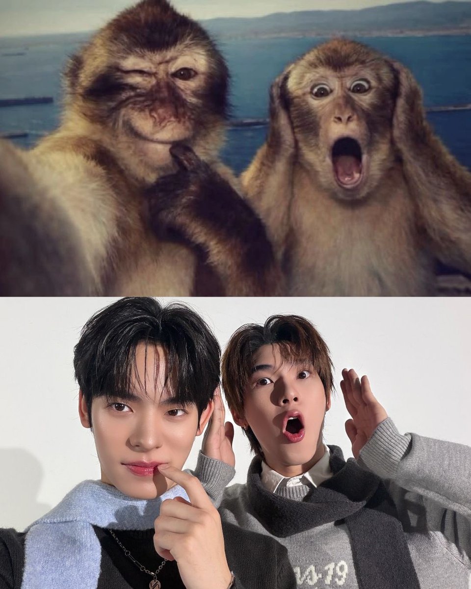 ShopeeTH's tweet photo. รู้แล้วครับว่าจี๋จี๋ปิ๊บน่ารัก 🫠🫶
อยากเจอเจ้าคนน่ารัก ไปช้อป Collection ÉCLAT DUO กันเถอะ > https://t.co/5WRQcN7NDt

#ShopeeTH #ShopeeKins19studioxTeeteePor #OnlyatShopee #ShopeeTrendy #TeeteePor #ตี๋ตี๋ป๋อ https://t.co/BpKOLg7xDe