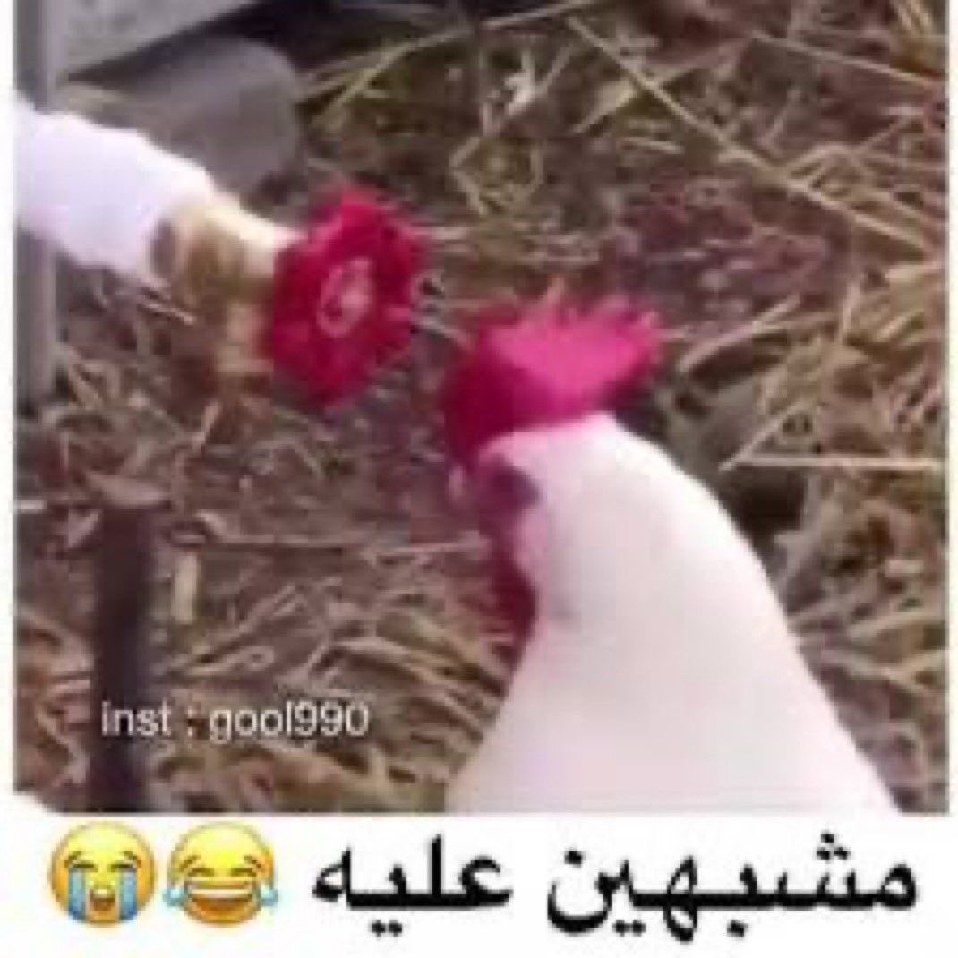 Ittitt0's tweet photo. @danahalshereeda بغيت اقول زقوم بس طلعتي كويتية… بالعافية على قلبك https://t.co/ZM51foZQaq