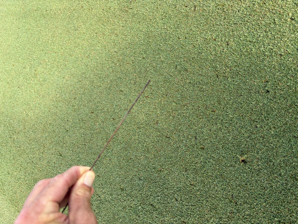 tonynyssegcs's tweet photo. @ADryject Some significant fracturing. 5-6” down. Might be a savior this winter. #ModernHydroject https://t.co/wJHFuuL5Em