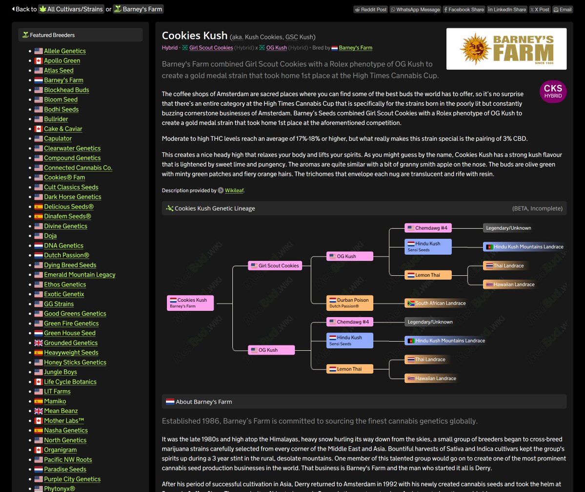 MedBudUK's tweet photo. It's taken us a long time, but now launched as BETA.

Our platform now supports full genetic trees for all cultivars/strains, and will eventually appear on product pages too.

For now, we have tons of manual work between us to backdate information 👀 @Stav7654321 @TheGreenAvenger https://t.co/lR4FNUmxL4