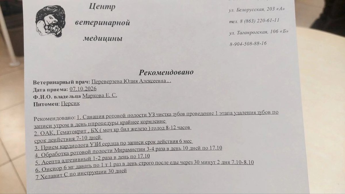 Karkalka0's tweet photo. Очень нужна помощь коту Персику ❗️

Персик найден весь в ранах, потерял половину шерсти, худой, но самое страшное, что у него нашли - состояние его рта 💔
Все его зубы покрыты толстым слоем камня и гниют

Я сразу напишу реквизиты: 
8 928 777 98 89 - Елизавета. Озон банк, Сбербанк https://t.co/RjxavQzi9O