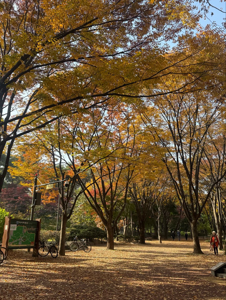 earthling_zip's tweet photo. 벌써 1년 다 돼 가네🍂그립다~ https://t.co/xoz5vMp0tI