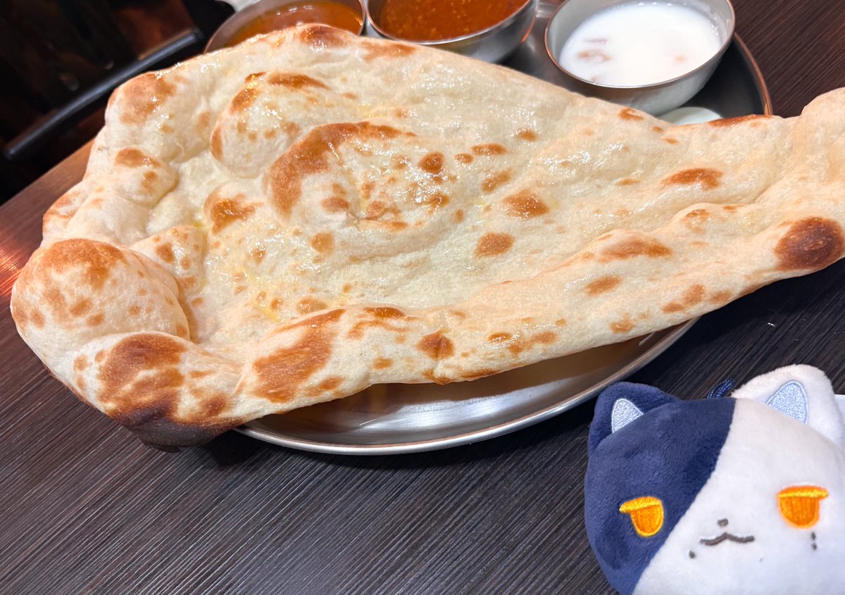 381_0x0's tweet photo. 仲良いふぉろわにあそんでもらったりカレー食べいったりした https://t.co/hE2xPNagvL