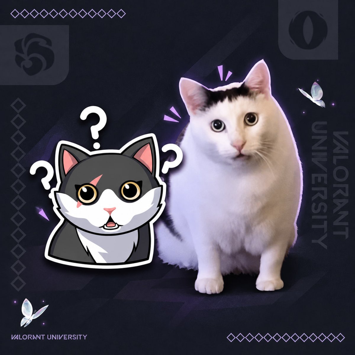 VALORANT_Uni's tweet photo. 🥰 Riot knows exactly why we buy the Battlepass.

#VALORANT https://t.co/7wwwqKxbnx