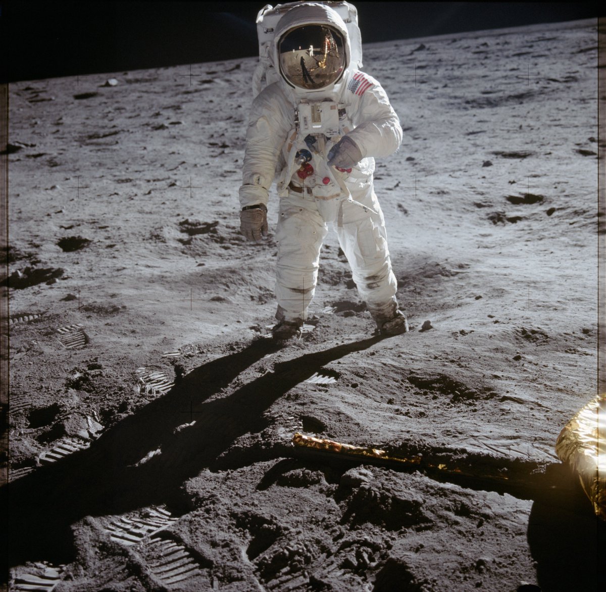HistoryWithin's tweet photo. On July 20, 1969, humans walked on the Moon for the first time. Armstrong and Aldrin’s footprints may remain for millions of years there’s no wind or rain to erase them.

#Apollo11 #MoonLanding #SpaceHistory https://t.co/JFngmoMCV9