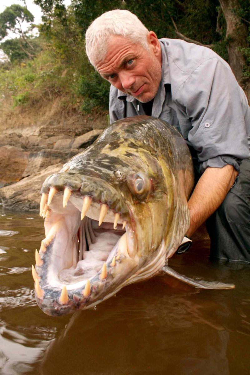 scubaryan_'s tweet photo. Jeremy Wade, who took a break after catching every major freshwater fish on his show, has officially announced his return teasing a new series  

“you thought River Monsters was over? the show was only the beginning… the waters are still full of secrets… I’M BACK.” https://t.co/31s1GB56Vb