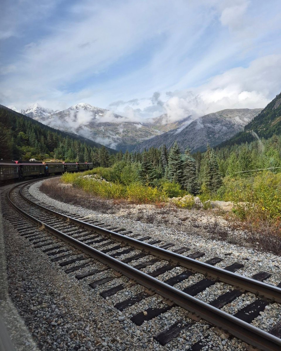 v_bonatti's tweet photo. Alaska exceeded every expectation. From Juneau, Skagway and Ketchikan to glaciers, whales, bears and scenic rail journeys, every day was unforgettable. If Alaska is on your bucket list, I’d love to help plan your adventure. https://t.co/j56d47Qq4u