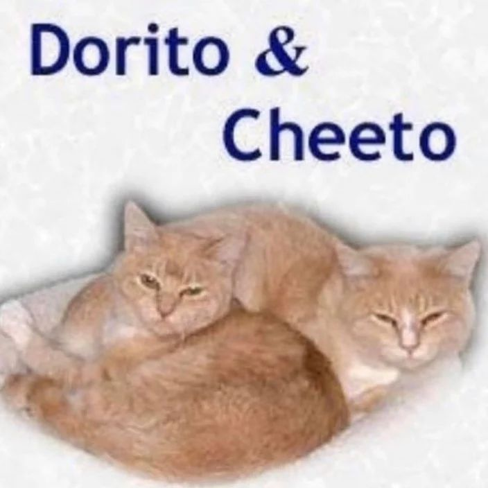 PunchingCat tweet picture