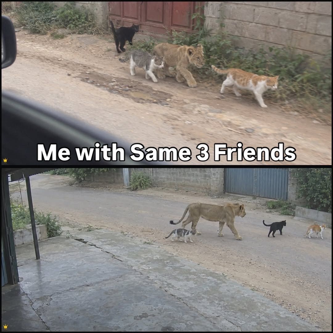 nocontextmemes's tweet photo. https://t.co/mgPpBzBc8M