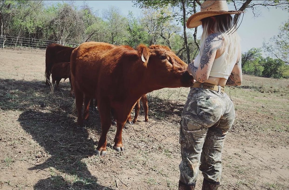 StephRwilliam's tweet photo. Some bonds don’t need words, just a little trust, love, and a gentle touch. 🐄🤎🌿” https://t.co/nMcZ8kAP95