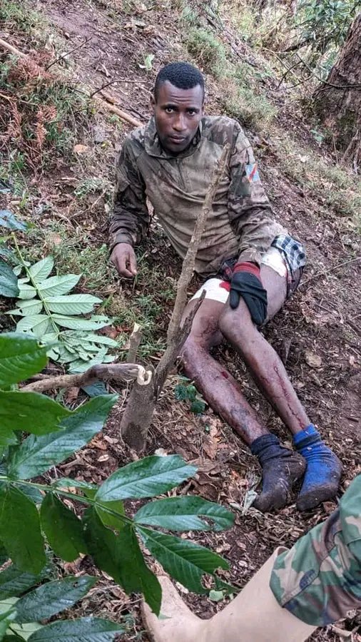 kivupulse1's tweet photo. 🚨 URGENT 🚨LE COMMANDANT KAZUNGU, FIGURE DE LA COALITION REBELLE AFC-#M23-#RDF #TWIRWANEHO, NEUTRALISÉ PAR LES #WAZALENDO
Le commandant Kazungu, figure importante de la coalition rebelle AFC-M23-RDF-#Twirwaneho, a été neutralisé par les combattants #Wazalendo lors des affrontements à #Masango, au Sud-Kivu.
Il était chargé de superviser les opérations de la coalition rebelle dans les hauts plateaux et les moyens plateaux des territoires d’#Uvira, de #Fizi et de #Mwenga.
Plusieurs combattants qui l’accompagnaient ont également été neutralisés au cours des combats, portant un nouveau coup aux opérations de la coalition rebelle dans le Sud-Kivu.