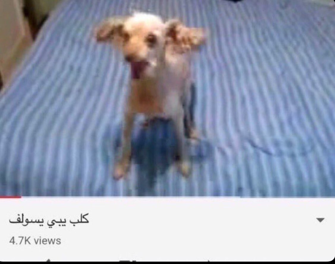 l7xva's tweet photo. انطمي بس https://t.co/3G1nR7TgYR