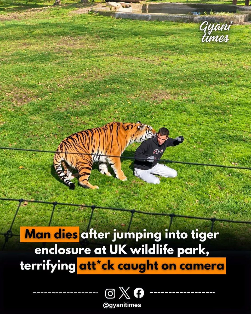 KFombat's tweet photo. A man tragically died after entering the Amur tiger enclosure at the Yorkshire Wildlife Park near Doncaster, England.
#TigerAttack #park #england @zsllondonzoo #yorkshirepark https://t.co/HskD1rp6wy