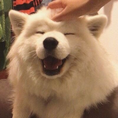 TOTOGABACK's tweet photo. https://t.co/Mh5XRREMqO
