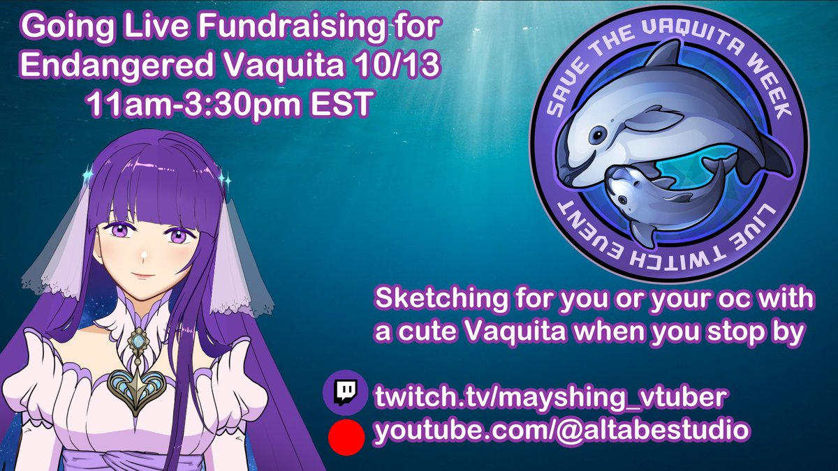 AltabeStudio's tweet photo. I am scheduled to go live tomorrow 10/13 for #savethevaquita week, I will be sharing info, playing Vaquita related indiegames, and sketching for people who stop by, you can upgrade your sketch via donations.   

💜  https://t.co/SYbjSFw1ga
🔴 https://t.co/gdeXQCyEu9 https://t.co/lwAn6PtAri