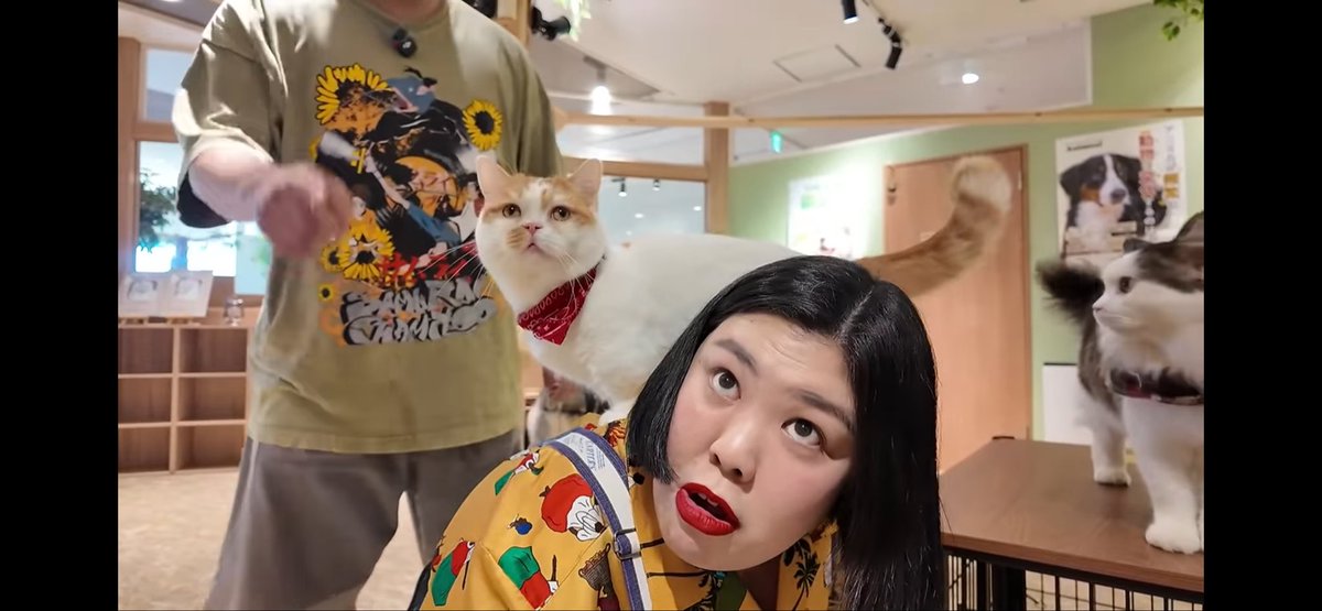 isfp_ym's tweet photo. 熊プロさんは可愛すぎるし（舐めてません）稲田さんはビジュ良すぎる https://t.co/mCd5CHacRw