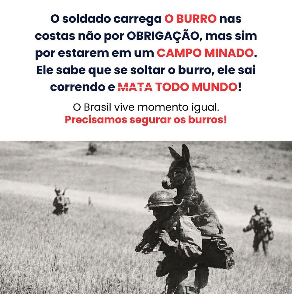 movadvdireitabr's tweet photo. ✍🏻Anotado! https://t.co/eJ4heKQgwn